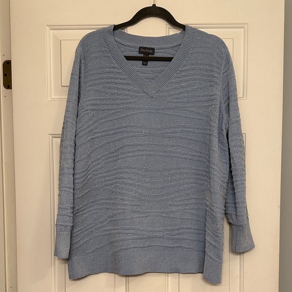 Women's Blue Textured Sweater